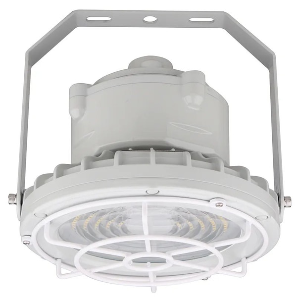 Westgate Round Hazardous Location Flood/Highbay Light, 30W/60W, Flat Wire Guard EXPR-30-60W-WGF - main